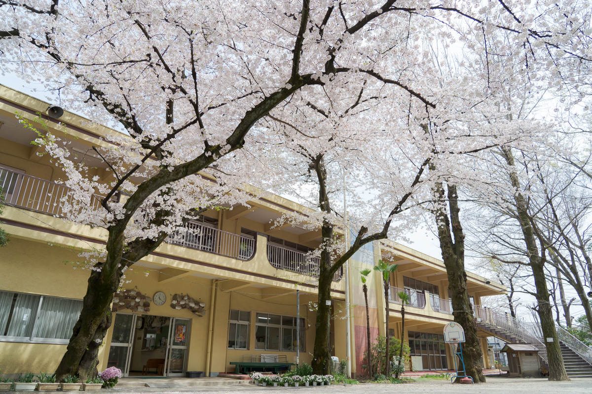 板橋区まきば幼稚園 販売 園服