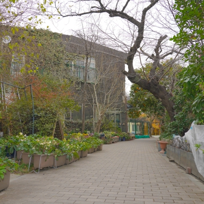 学校法人 足立芦田学園 千住寿幼稚園 Meetrii ミーツリー